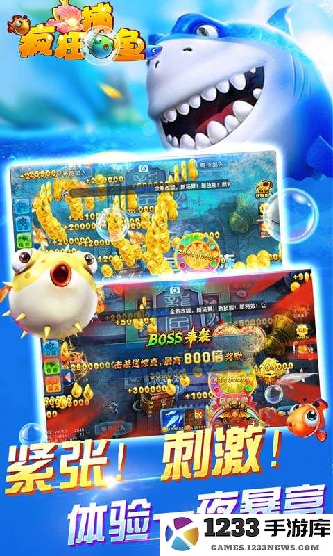 鱼丸疯狂捕鱼官方版 鱼丸疯狂捕鱼最新手机版下载