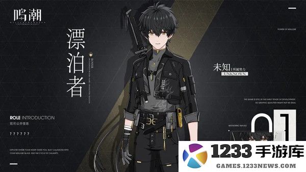 鸣潮国角色介绍