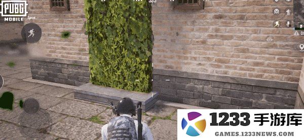 pubg四象修行玩法