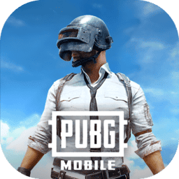 pubg国际服官方正版