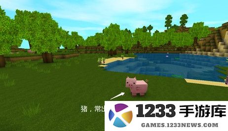 九游版迷你世界攻略