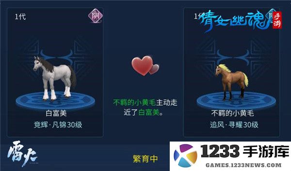 倩女幽魂高品质马教程