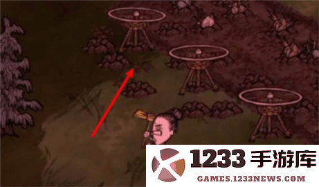 饥困荒野怎么种地