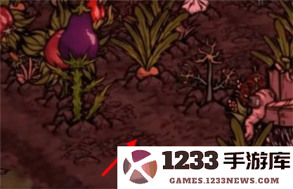 饥困荒野怎么种地