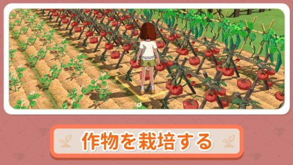 小森生活日服版正版官方安装 v2.0.6 安卓版 0