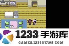 口袋妖怪漆黑的魅影二周目通关攻略