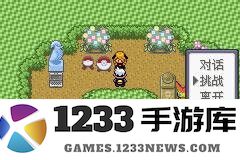 口袋妖怪漆黑的魅影二周目通关攻略