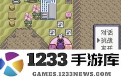 口袋妖怪漆黑的魅影二周目通关攻略