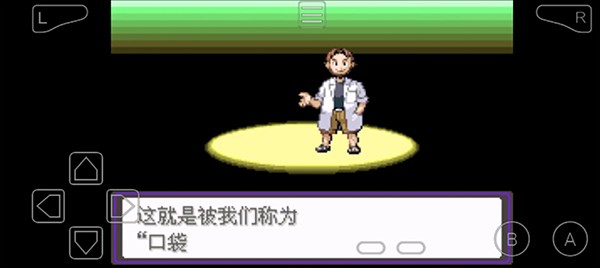 口袋妖怪漆黑的魅影5.0exbw v5.0 安卓版 0